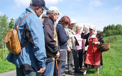 ab7. Mai immer am Mittwoch: Kräuterwanderung mit der Semmelmilda