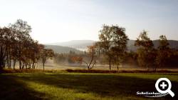 Schellerhau-Herbststimmung.jpg