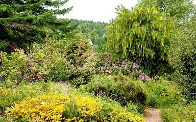 01. 05. 2026 Saisoneröffnung im Botanischen Garten 