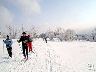 Schellerhauer Wintersport: Langlauf-Loipe