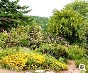 Botanischer Garten