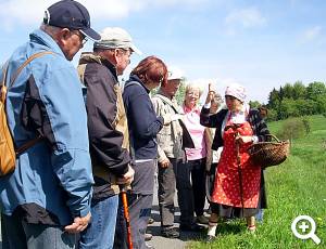 Kräuterwanderung in Schellerhau