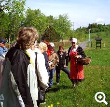 Kräuterwanderung in Schellerhau