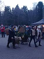 1. Advent in Schellerhau- Rückblick